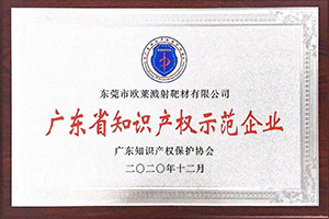 廣東省知識(shí)產(chǎn)權(quán)示范企業(yè)