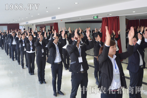 一個(gè)團(tuán)隊(duì)的五個(gè)基本要素:溝通、信任、慎重、換位、快樂(lè)