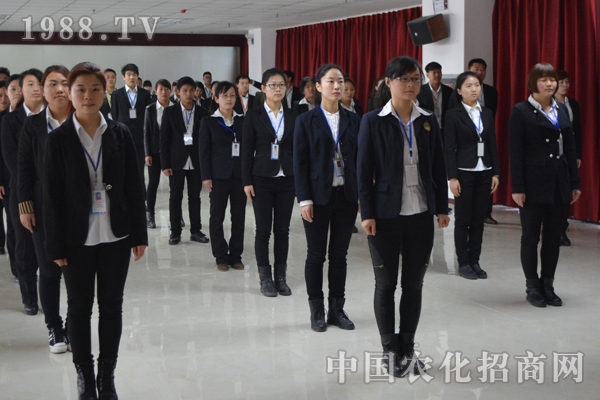 一個(gè)團(tuán)隊(duì)的五個(gè)基本要素:溝通、信任、慎重、換位、快樂(lè)