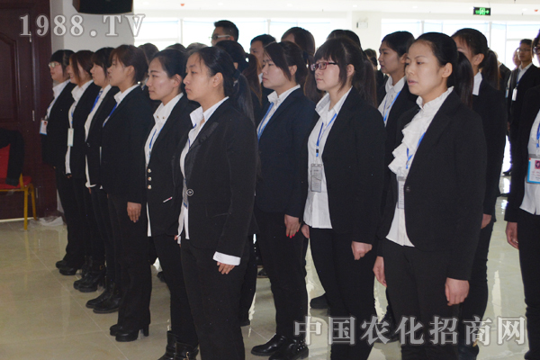 超越夢想的團(tuán)隊(duì) 追求完美的自我